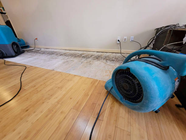 Professional Basement Flood Cleanup technician working in Mckenna, WA